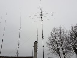 Diverse radiorum , ant fra TM 02